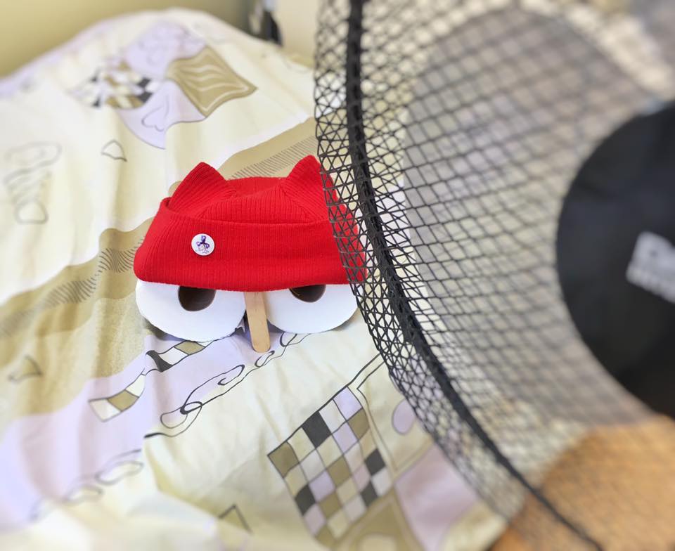 13094210_10208690274950166_664917964719952534_n